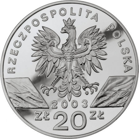 Awers monety20 zł Węgorz europejski (łac. Anguilla anguilla)