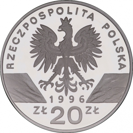 Awers monety20 zł Jeż (łac. Erinaceus europaeus)