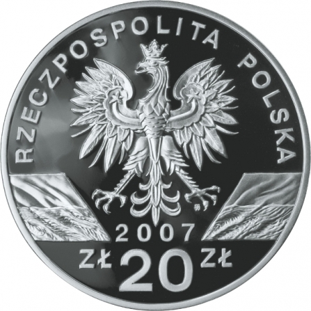 Awers monety20 zł Foka szara (łac. Halichoerus grypus)