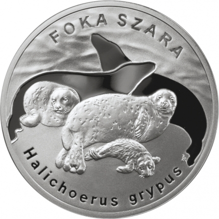 Rewers monety 20 zł Foka szara (łac. Halichoerus grypus)