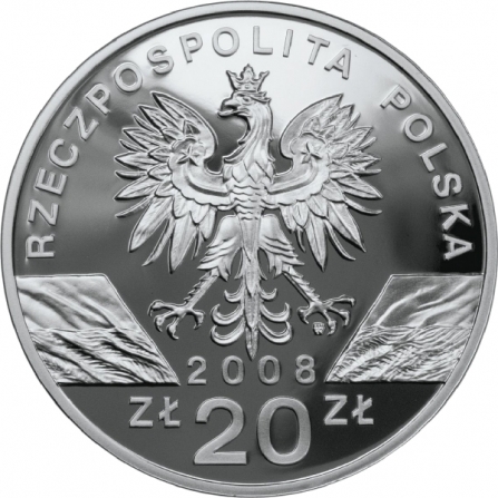 Awers monety20 zł Sokół wędrowny (łac. Falco peregrinus)