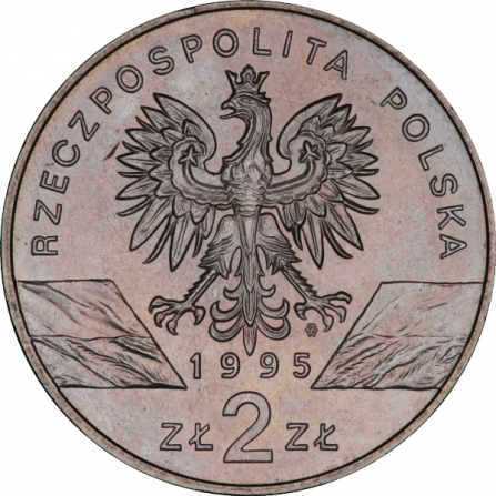Awers monety2 zł Sum (łac. Silurus glanis)
