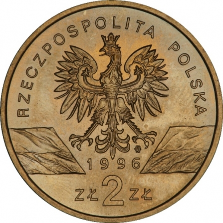 Awers monety2 zł Jeż (łac. Erinaceus europaeus)