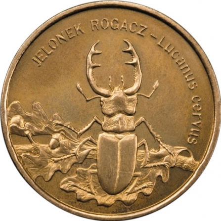Rewers monety 2 zł Jelonek rogacz (łac. Lucanus cervus)
