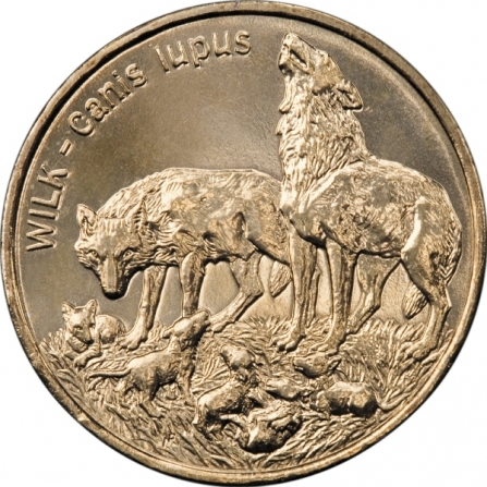 Rewers monety 2 zł Wilk (łac. Canis lupus)