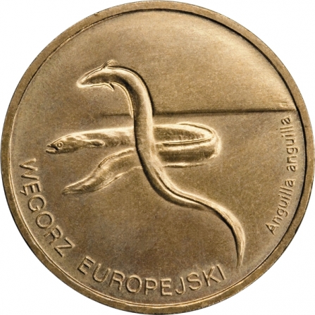 Rewers monety 2 zł Węgorz europejski (łac. Anguilla anguilla)