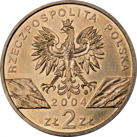 Awers monety2 zł Morświn (łac. Phocoena phocoena)