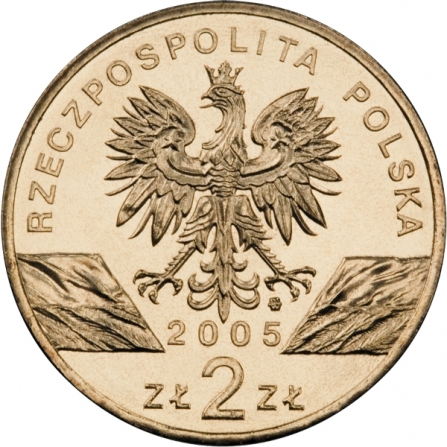 Awers monety2 zł Puchacz (łac. Bubo bubo)