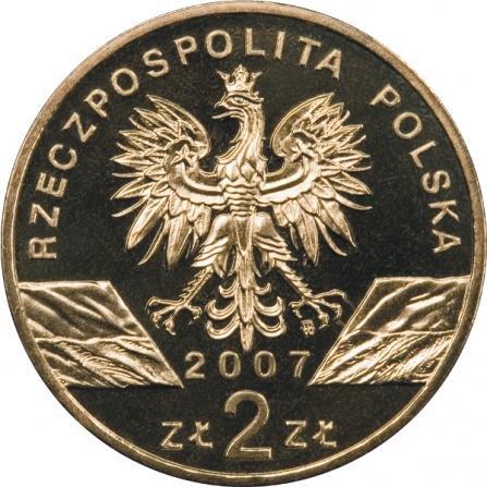 Awers monety2 zł Foka szara (łac. Halichoerus grypus)