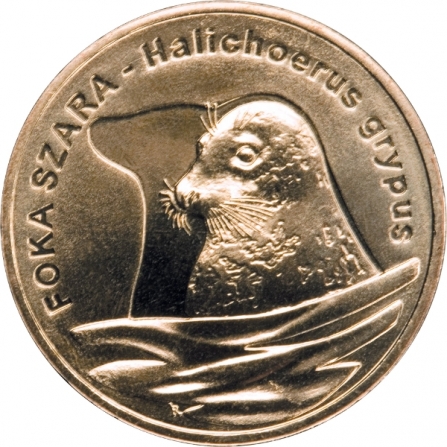 Rewers monety 2 zł Foka szara (łac. Halichoerus grypus)