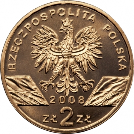 Awers monety2 zł Sokół wędrowny (łac. Falco peregrinus)
