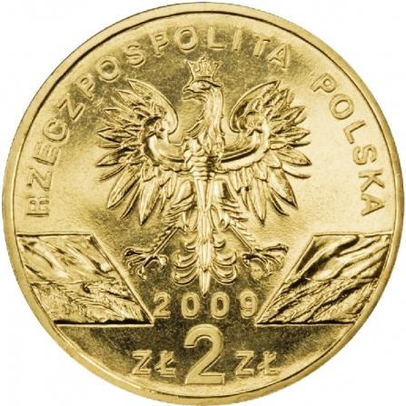 Awers monety2 zł Jaszczurka zielona (łac. Lacerta viridis)