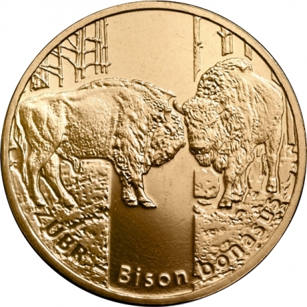 Rewers monety 2 zł Żubr (łac. Bison bonasus)