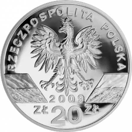 Awers monety20 zł Jaszczurka zielona (łac. Lacerta viridis)