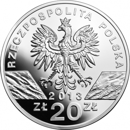 Awers monety20 zł Żubr (łac. Bison bonasus)
