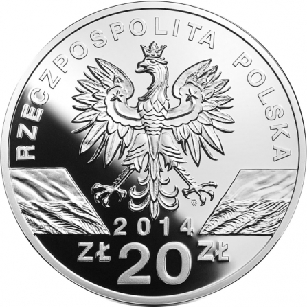 Awers monety20 zł Konik polski (łac. Equus caballus gmelini)