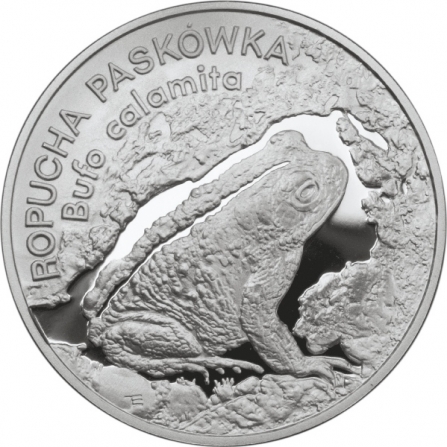 Rewers monety 20 zł Ropucha paskówka (łac. Bufo calamita)