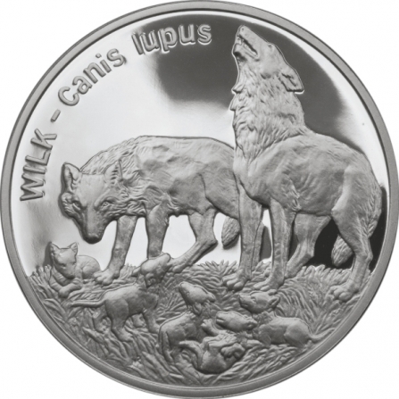 Rewers monety 20 zł Wilk (łac. Canis lupus)