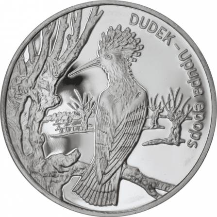 Rewers monety 20 zł Dudek (łac. Upupa epops)